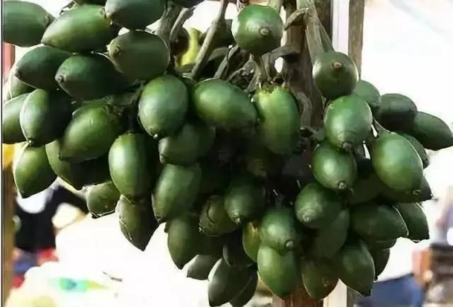 为什么不能吃槟榔,为什么那么多人要吃槟榔