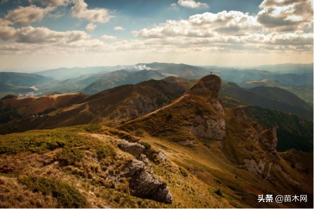 鑻楁湪宸ョ▼杩樻湁缁х画鍙戝睍鐨勫彲鑳藉悧,鍥藉瀵硅嫍鏈ㄥ彂灞曟湁鍝簺瑙勫垝