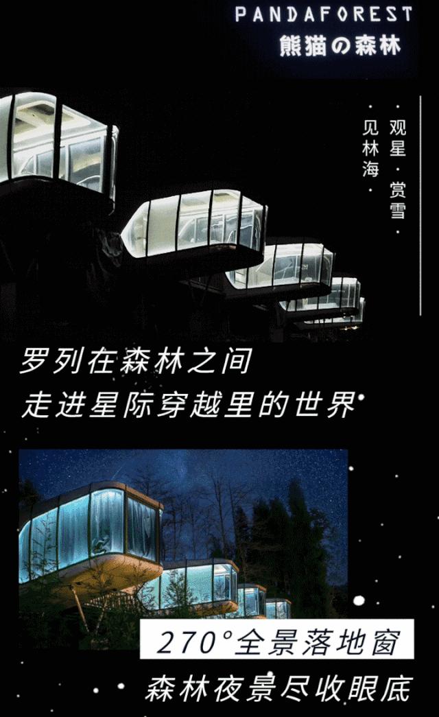 彭州太空舱营地,成都熊猫森林太空舱民宿