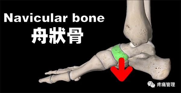 专门改善扁平足的运动,站着改善x型腿