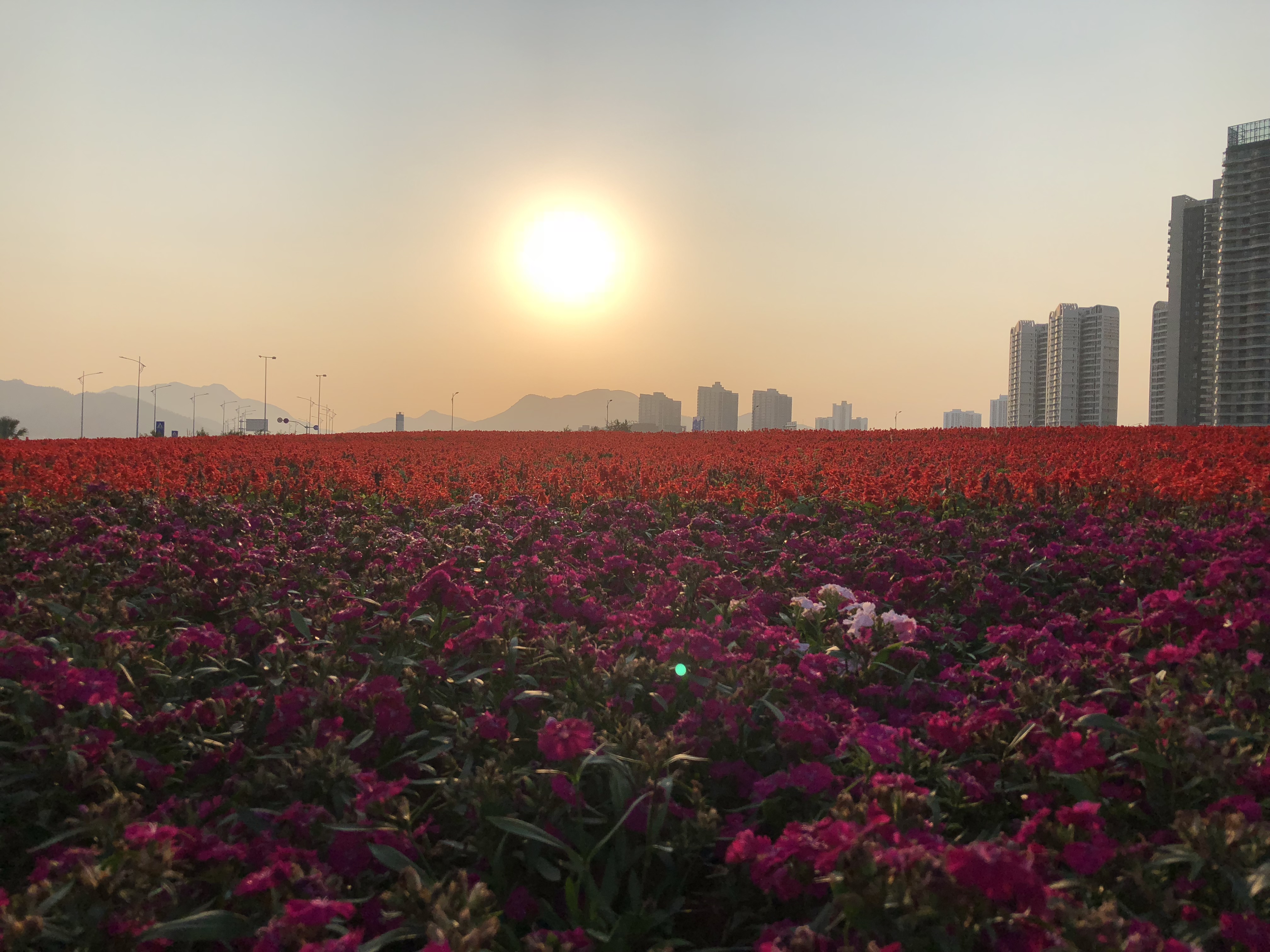 你眼中的珠海是什么样,外国眼中的珠海
