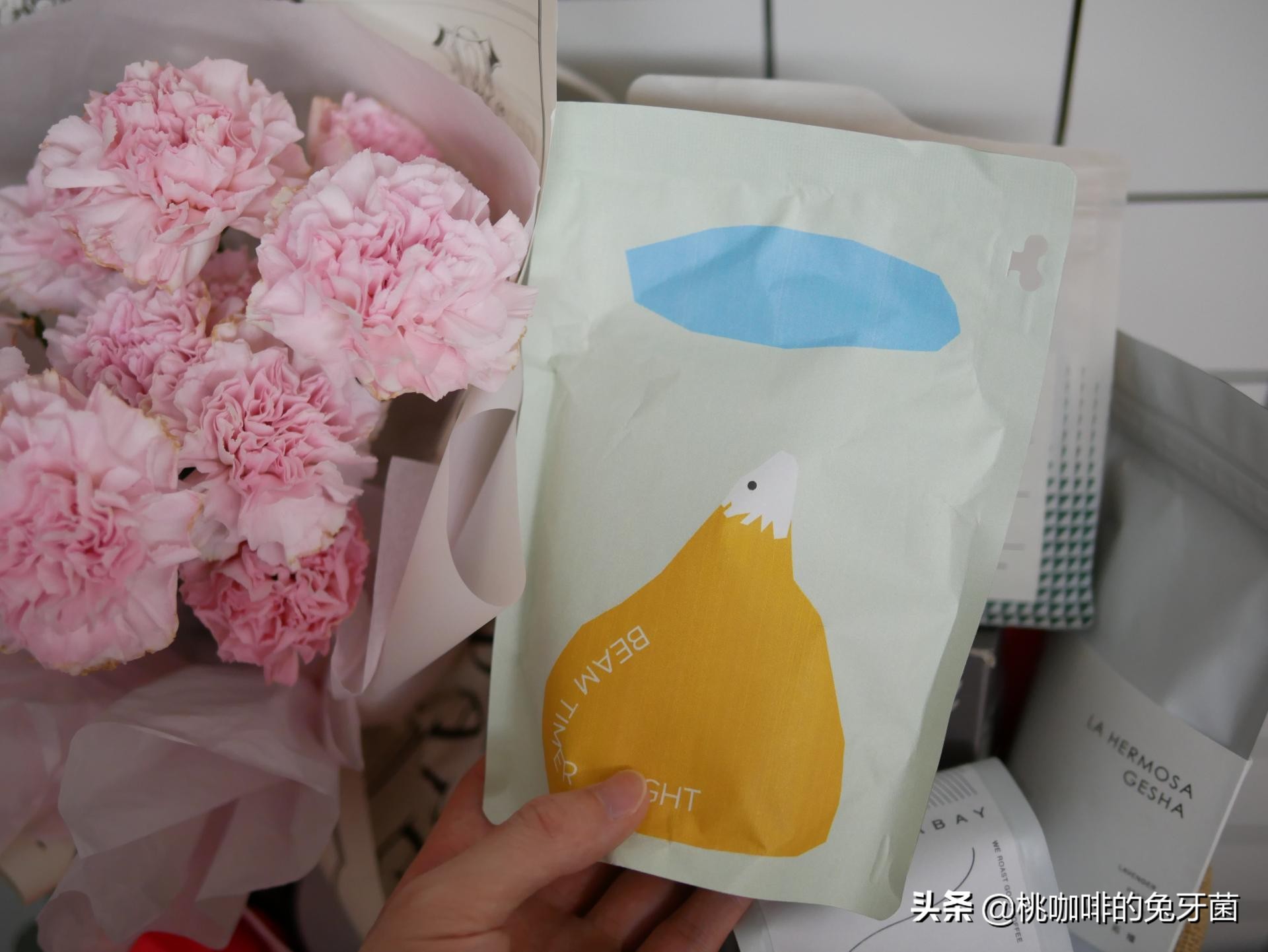 云南咖啡有远山森林的味道吗,云南咖啡产地探访记