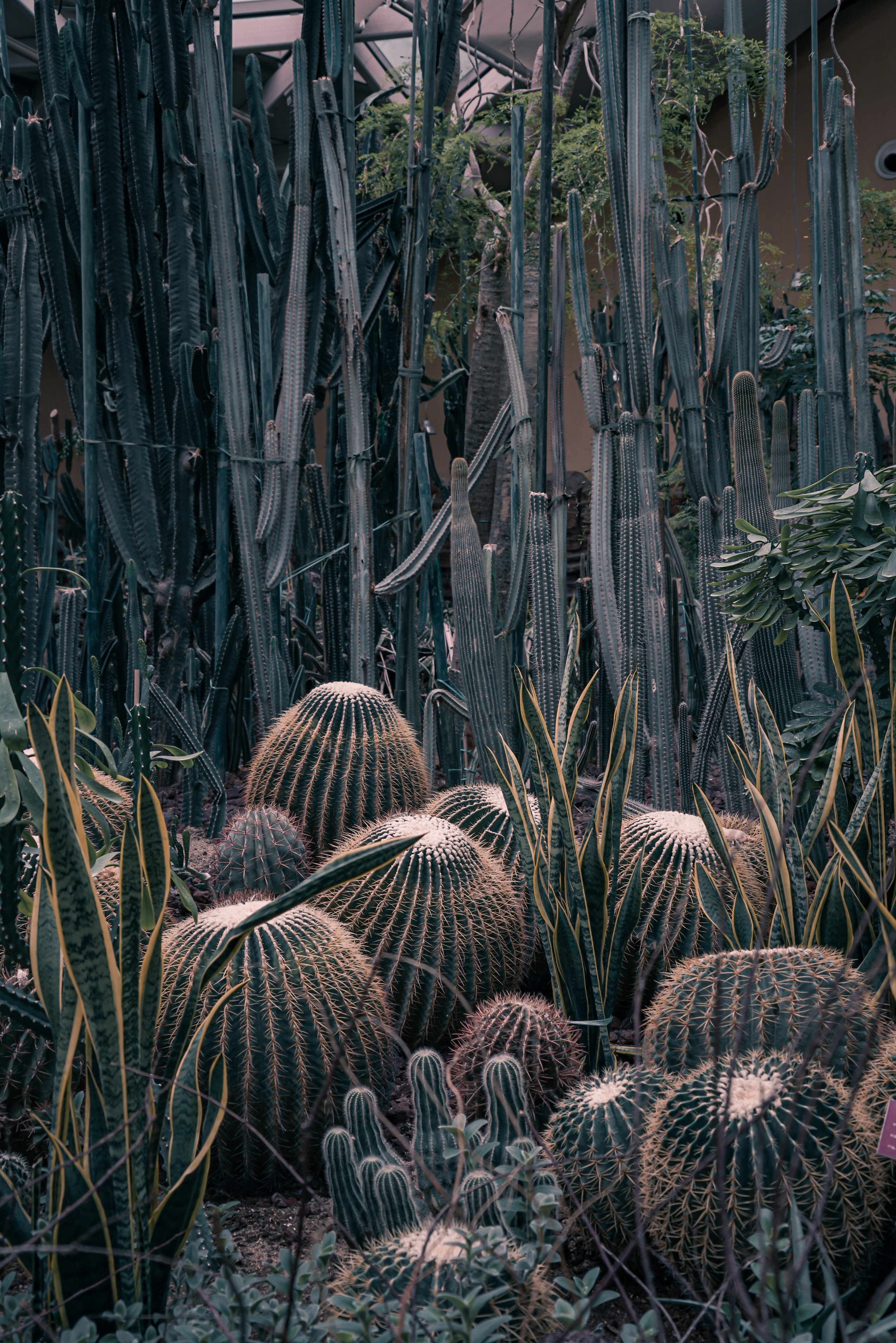 唐山五一野游攻略,五一去唐山亲子旅游攻略