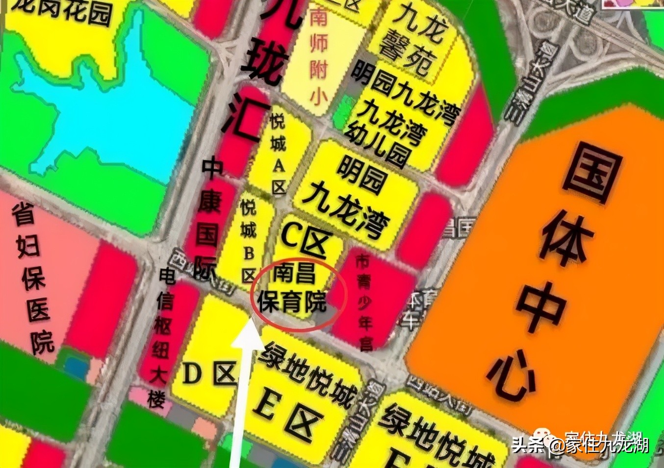 九龙湖幼儿园推荐,九龙湖幼儿园