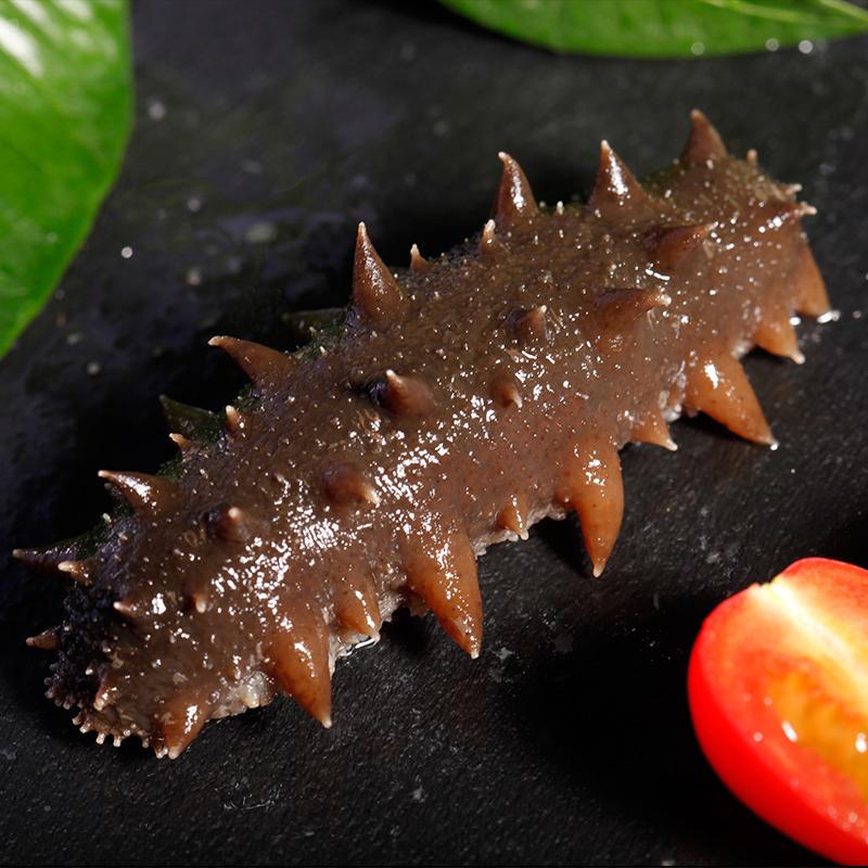 海参产地源头,海参产地