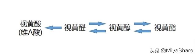 各种美白成分抗衰成分禁忌表,美容保湿抗衰产品要看哪些成分