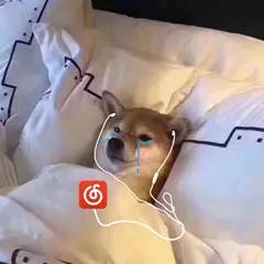 表情包真的很实用,有关闹钟的表情包