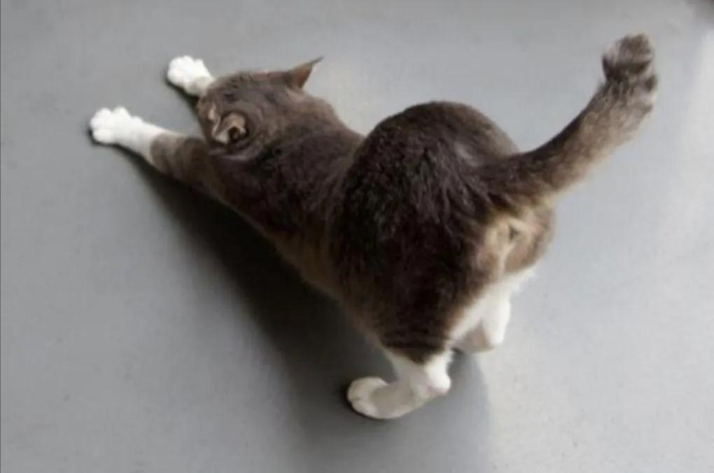 奇怪的知识又增加了,奇怪的知识又增加了下一句