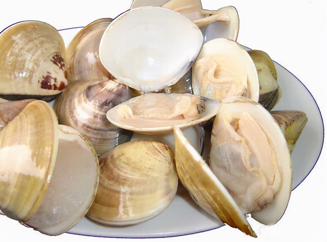 青黛+蛤壳，妙用可软坚散结，清肝利肺，降逆除烦，建议收藏