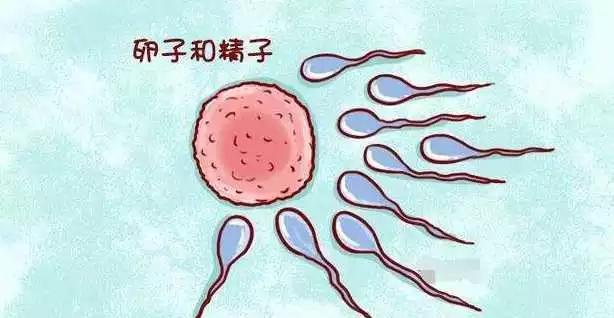 明明测的一条杠怎么还不来大姨妈,明明测到两个杠却没怀孕