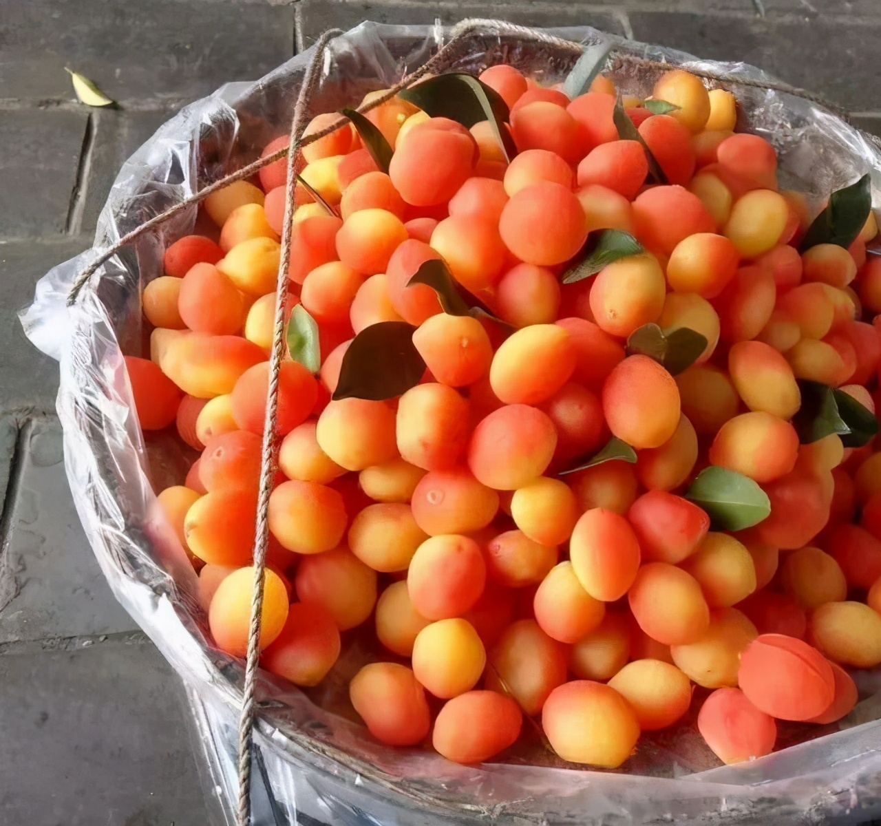 这四种水果又便宜又营养,这4种水果都是人工造出来的