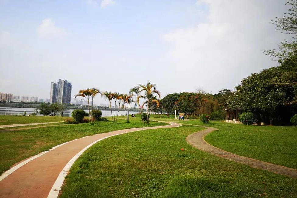 东莞可能成为超大城市吗,东莞市荣升