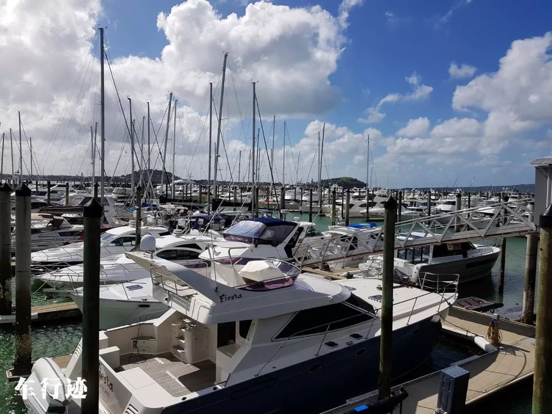 穿越新西兰北岛,新西兰北岛的真实生活最新