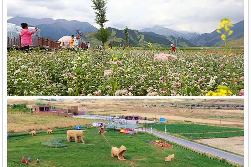 优化访惠聚驻村工作队,自治区访惠聚工作队队员驻村时间