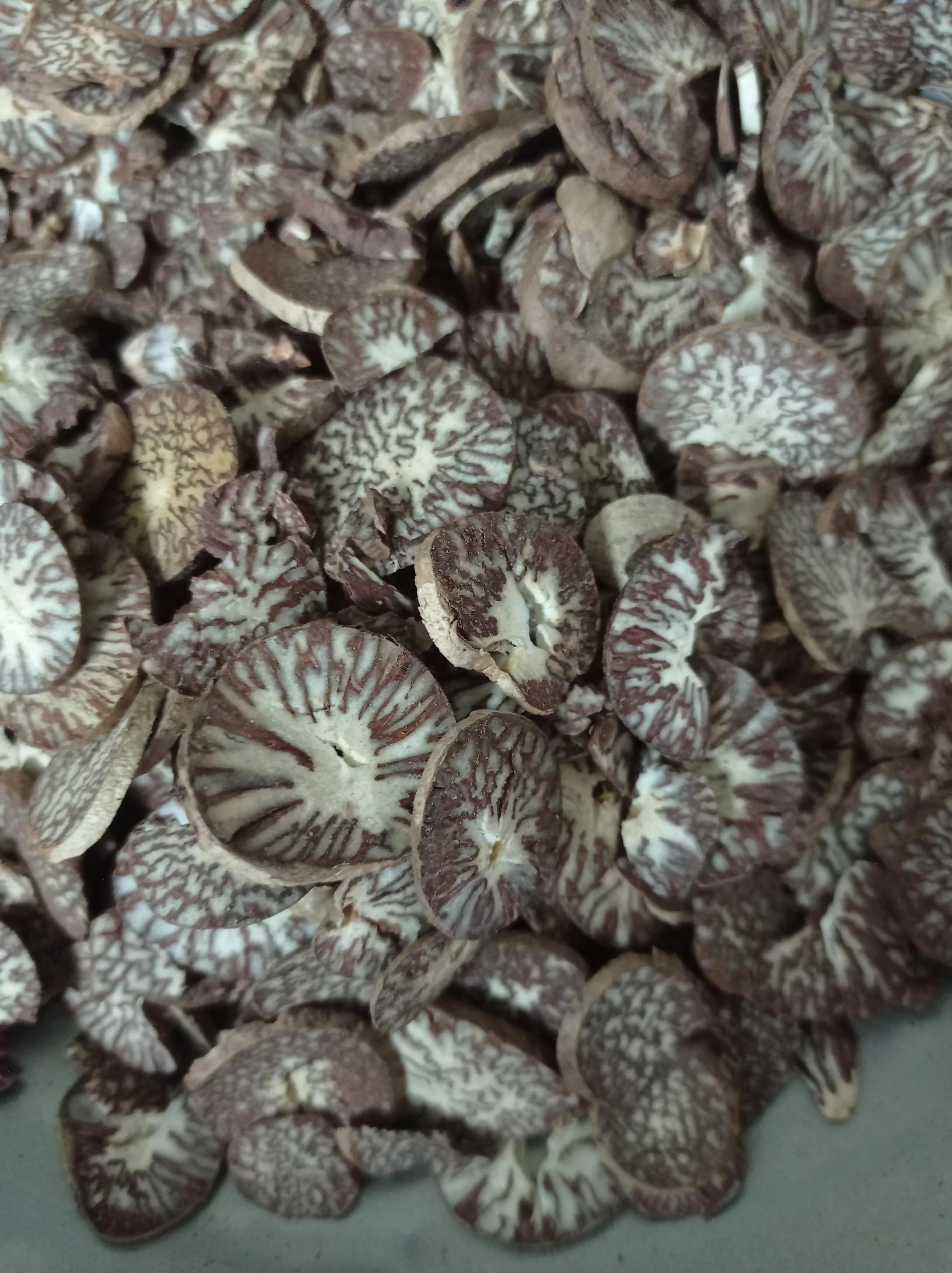 嚼槟榔致癌为什么还有人嚼槟榔,嚼槟榔致癌还是槟榔致癌