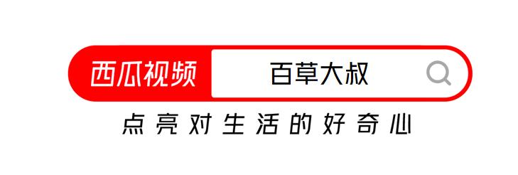 居不可无竹食不可无笋,居不可无竹食不可无笋的含义