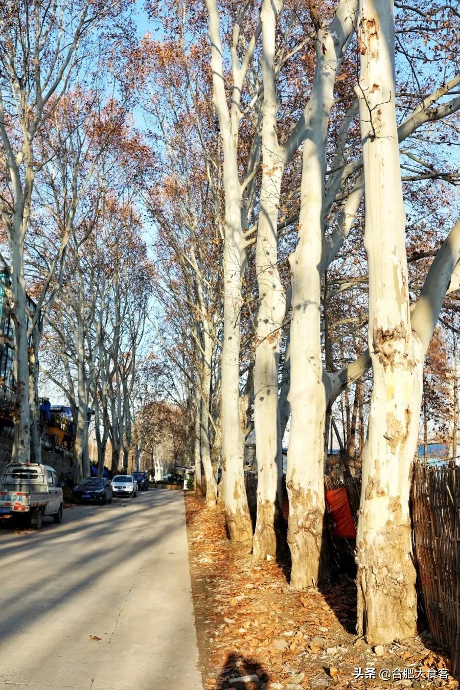 <html>
<head><title>502BadGateway</title></head>
<body>
<center><h1>502BadGateway</h1></center>
<hr><center>nginx</center>
</body>
</html>
<!--apaddingtodisableMSIEandChromefriendlyerrorpage-->
<!--apaddingtodisableMSIEandChromefriendlyerrorpage-->
<!--apaddingtodisableMSIEandChromefriendlyerrorpage-->
<!--apaddingtodisableMSIEandChromefriendlyerrorpage-->
<!--apaddingtodisableMSIEandChromefriendlyerrorpage-->
<!--apaddingtodisableMSIEandChromefriendlyerrorpage-->
