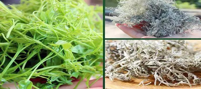 正宗张家界莓茶有什么,揭秘张家界莓茶