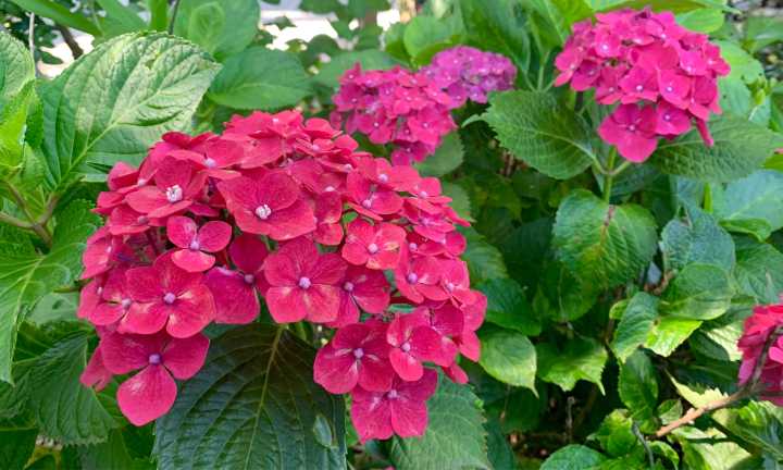 镰仓江之岛自驾游攻略,江之岛镰仓一日游最佳攻略