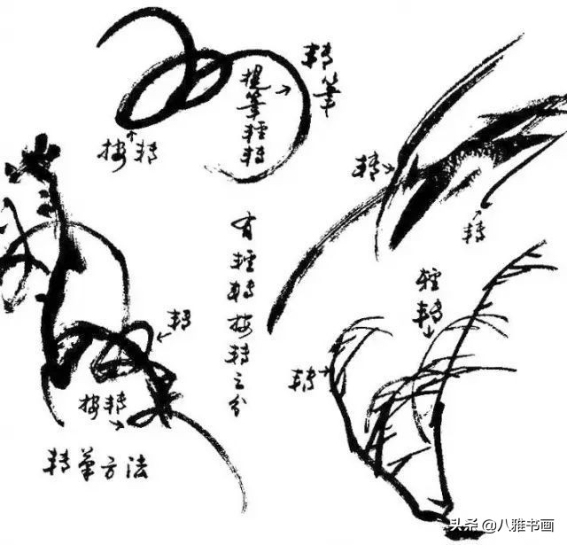 小写意花鸟画笔法,小写意花鸟画笔墨技法与创作