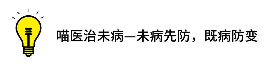 常规驱虫药都不能赶走哪些寄生虫,驱虫注意事项有哪些