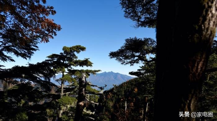 从濒临破产到行业巨头,格兰仕为何转型家电行业