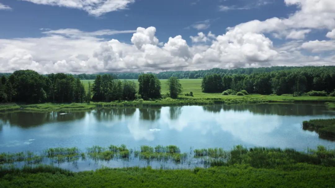 跨境电商进口商品展,2021跨境产品展会