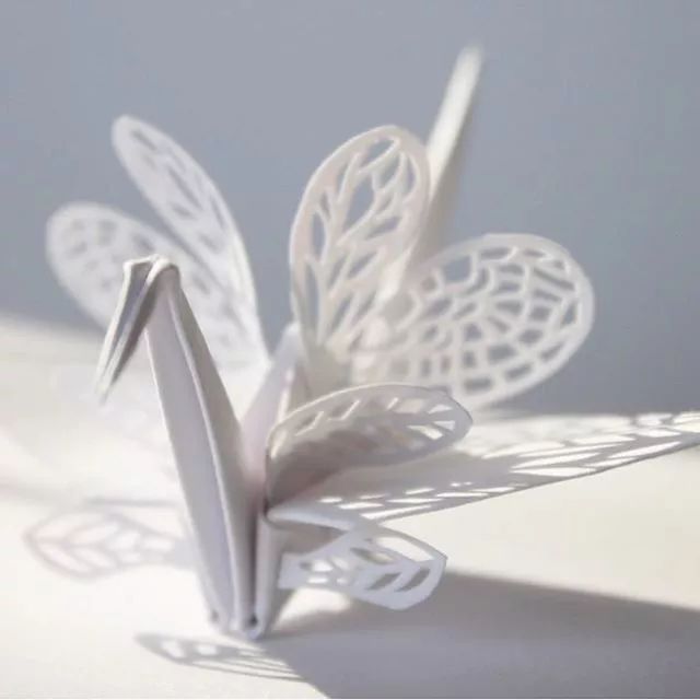 1000天1000只纸鹤，他折的纸鹤让自己走出抑郁……