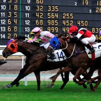 武汉要发行赛马彩票，这次有没有戏？