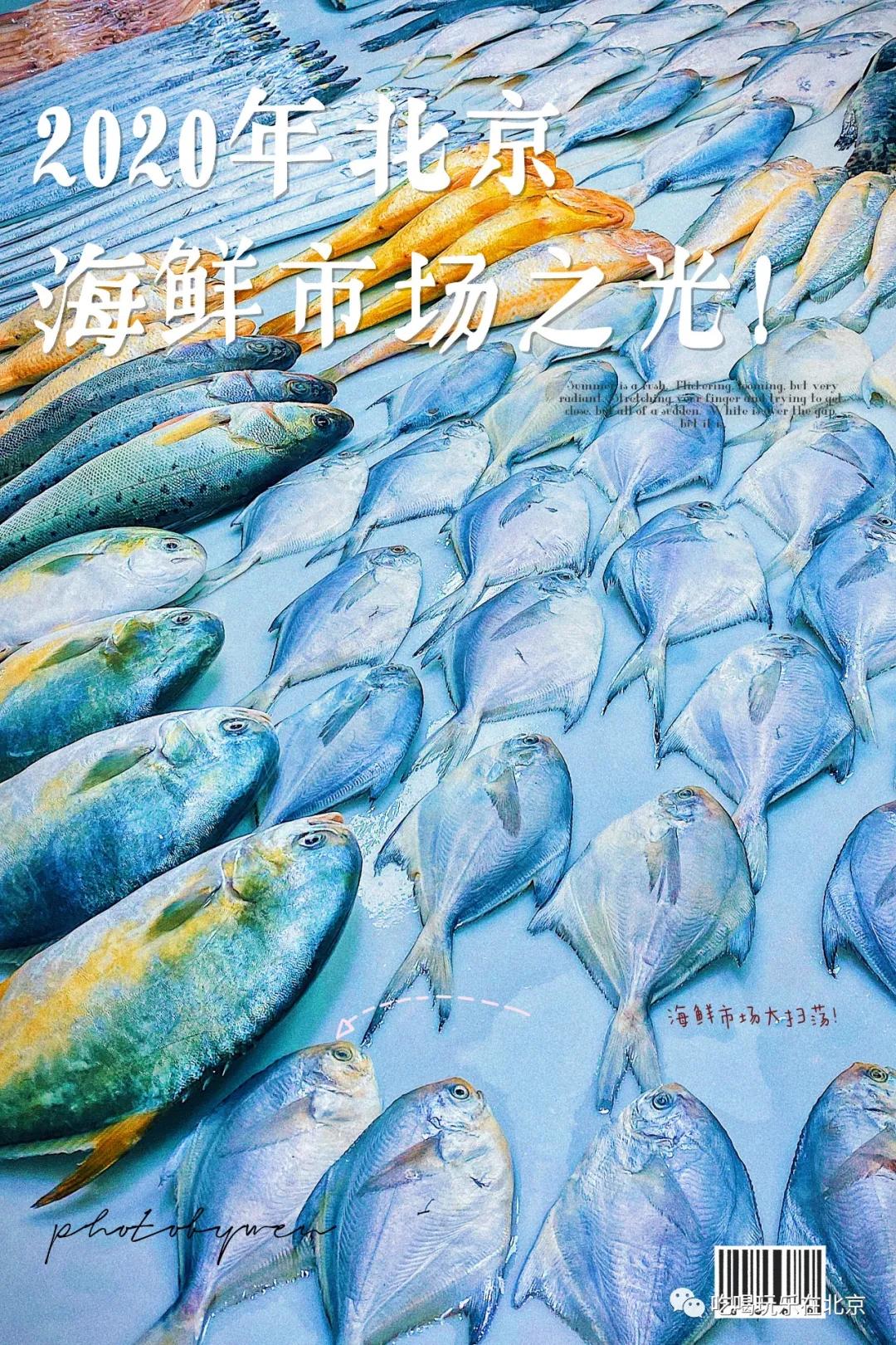 朝阳区海鲜市场,北京朝阳区海鲜市场