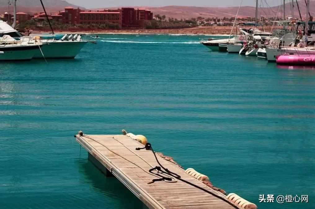 外贸收款风险及如何规避,近五年内货代风险的真实案例