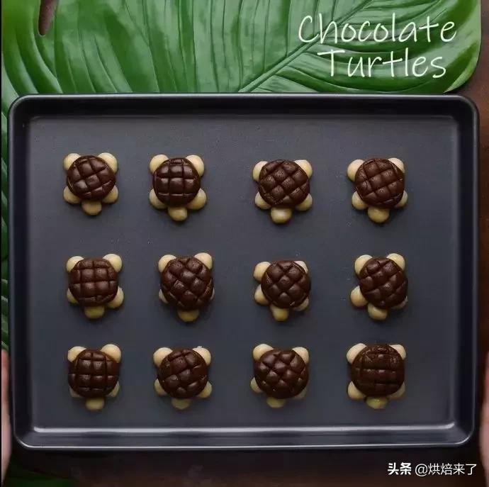 自制烘焙曲奇,烘焙曲奇的工具