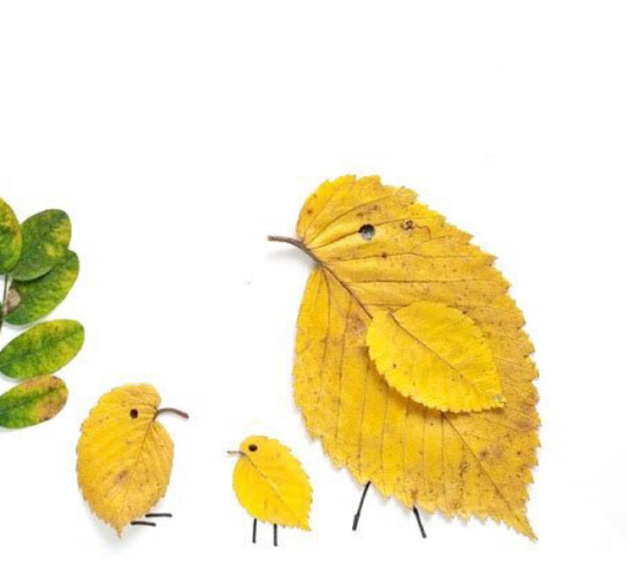 秋天最美的落叶手工,跟秋天有关的树叶手工超级简单