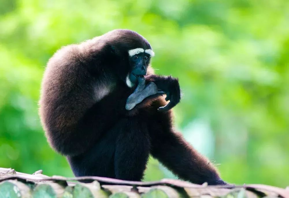 威海五一旅游攻略,五一威海旅游有一起的吗