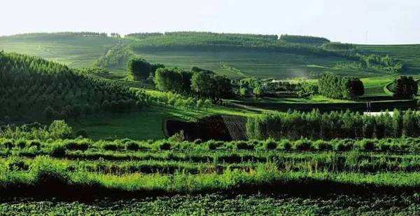 停电有感II从生活乐趣，到节能减排