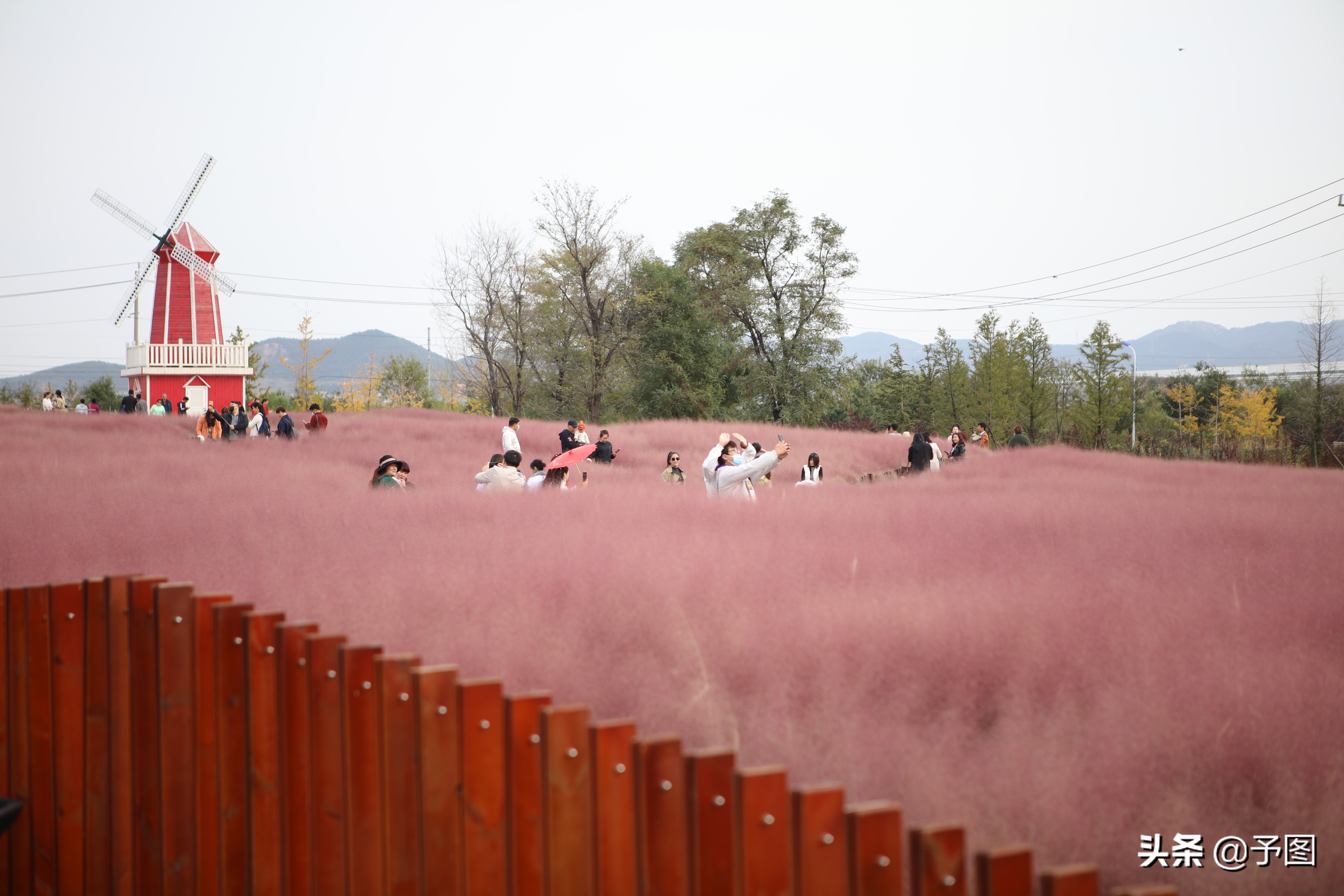 沙城湿地公园网红打卡地3.8公里,内江大自然湿地公园网红打卡地