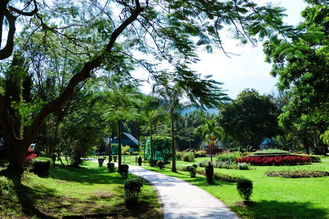 清迈美食攻略大全,最新清迈美食攻略