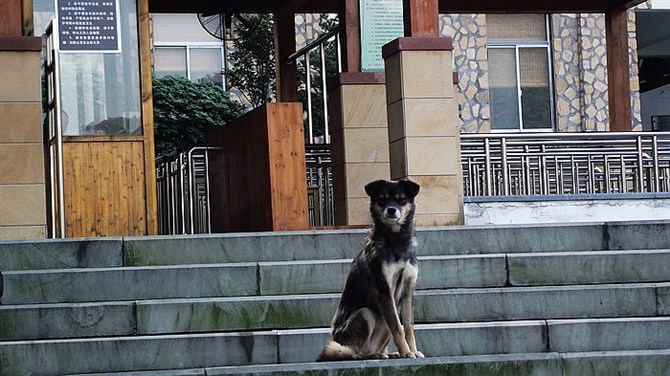 南京竹海宜兴竹海,宜兴华东第一竹海