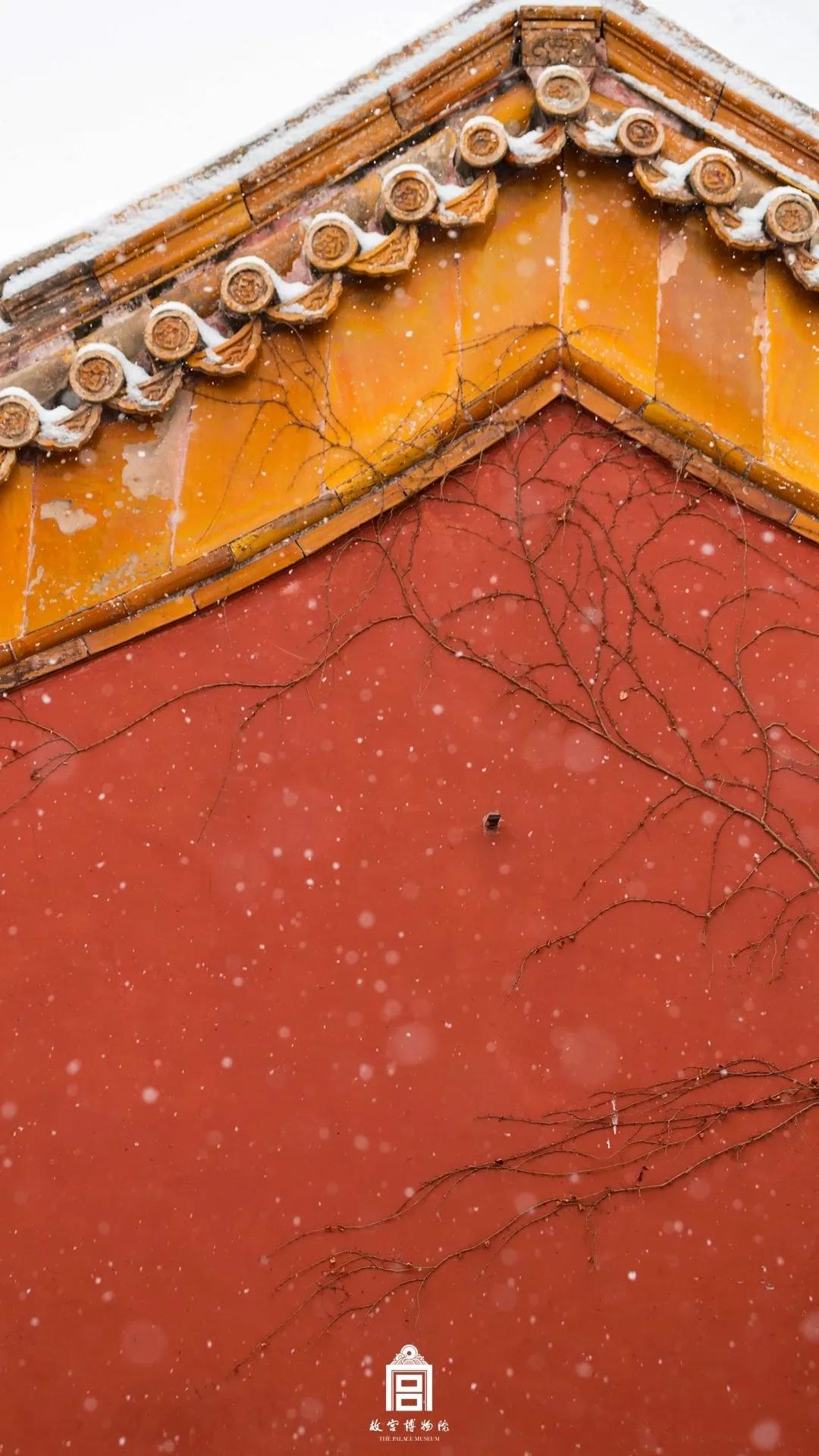 冬天适合旅游的国内看雪景点,冬天看雪最值得去的地方