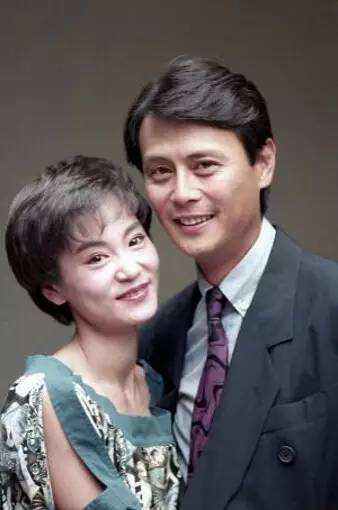 琼瑶剧十大经典电视剧刘雪华,刘雪华琼瑶剧最经典的是哪一部