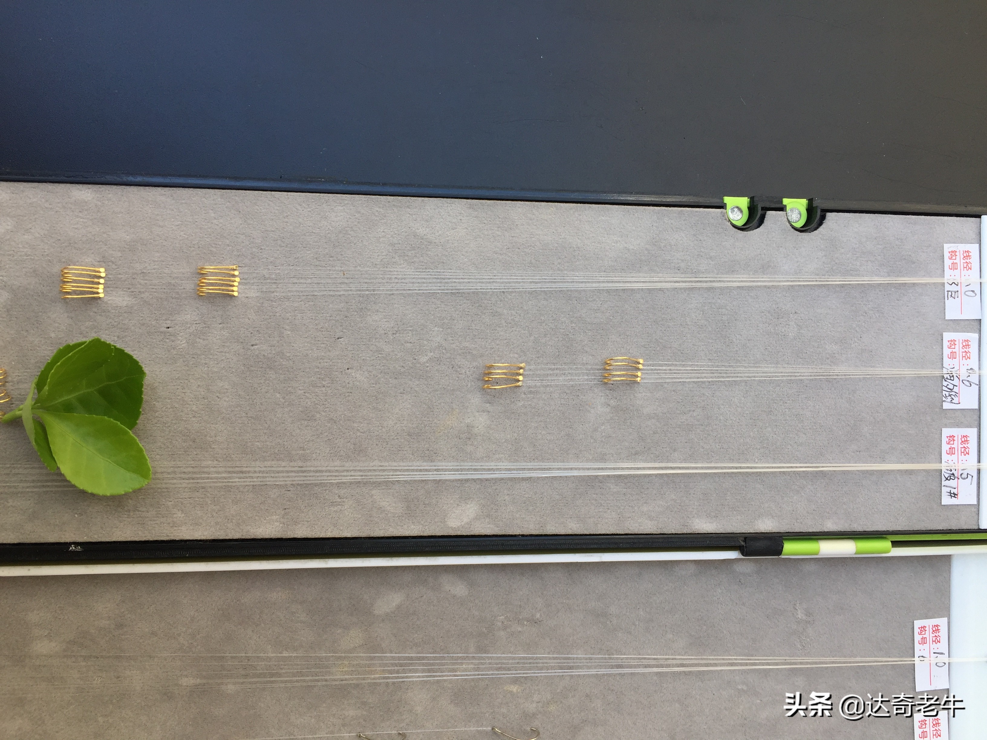 新手钓鱼怎么选择鱼线长度,钓鱼怎么调目最准确