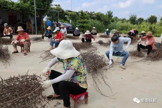 央视《我爱发明》栏目走进新野县王集镇天赐园扶贫基地