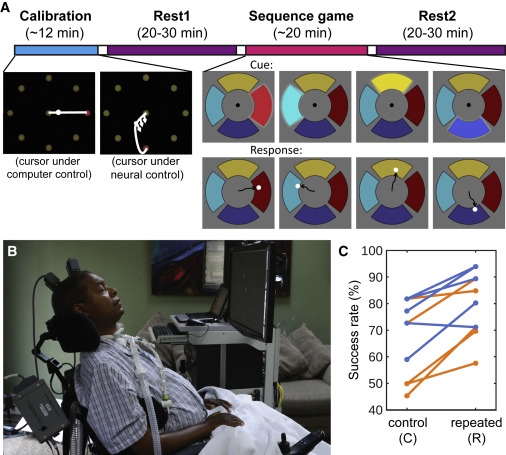 大脑有Replay模式？没错，就在你睡着后