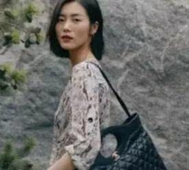 刘雯大包包推荐,刘雯同款豹纹包包