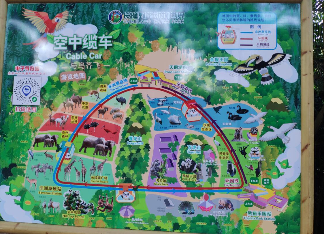 长隆野生动物园打卡攻略,打卡龙之梦动物园步行