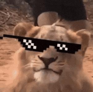 这才是社会步伐,这才是社会人原版