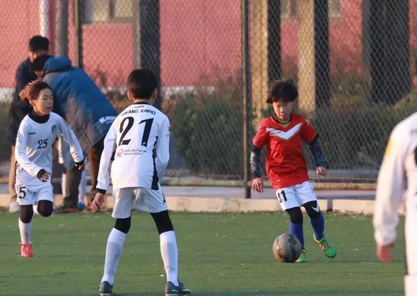 高尔夫体能核心力量的训练方法,高尔夫击球训练方法