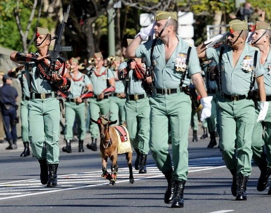 世界各国的国庆节节的时间及原因,各国国庆节节的节日风俗