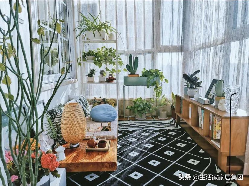 装修极简主义的室内植物搭配,家居植物现代风推荐