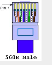 路由器网线水晶头接线方法,路由器上接网线到电脑网速怎么样